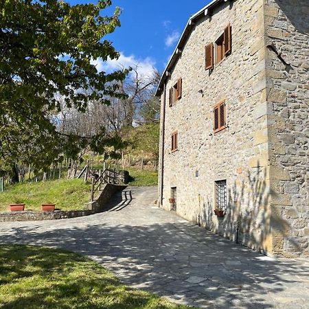 卡斯蒂廖内迪加尔法尼亚纳Il Casale Di Rolando公寓 外观 照片