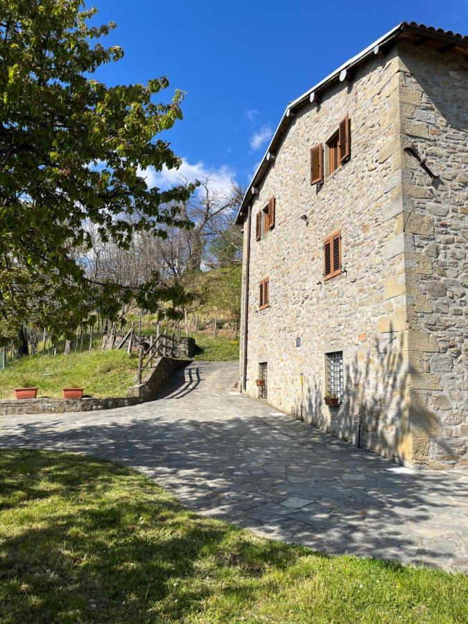 卡斯蒂廖内迪加尔法尼亚纳Il Casale Di Rolando公寓 外观 照片